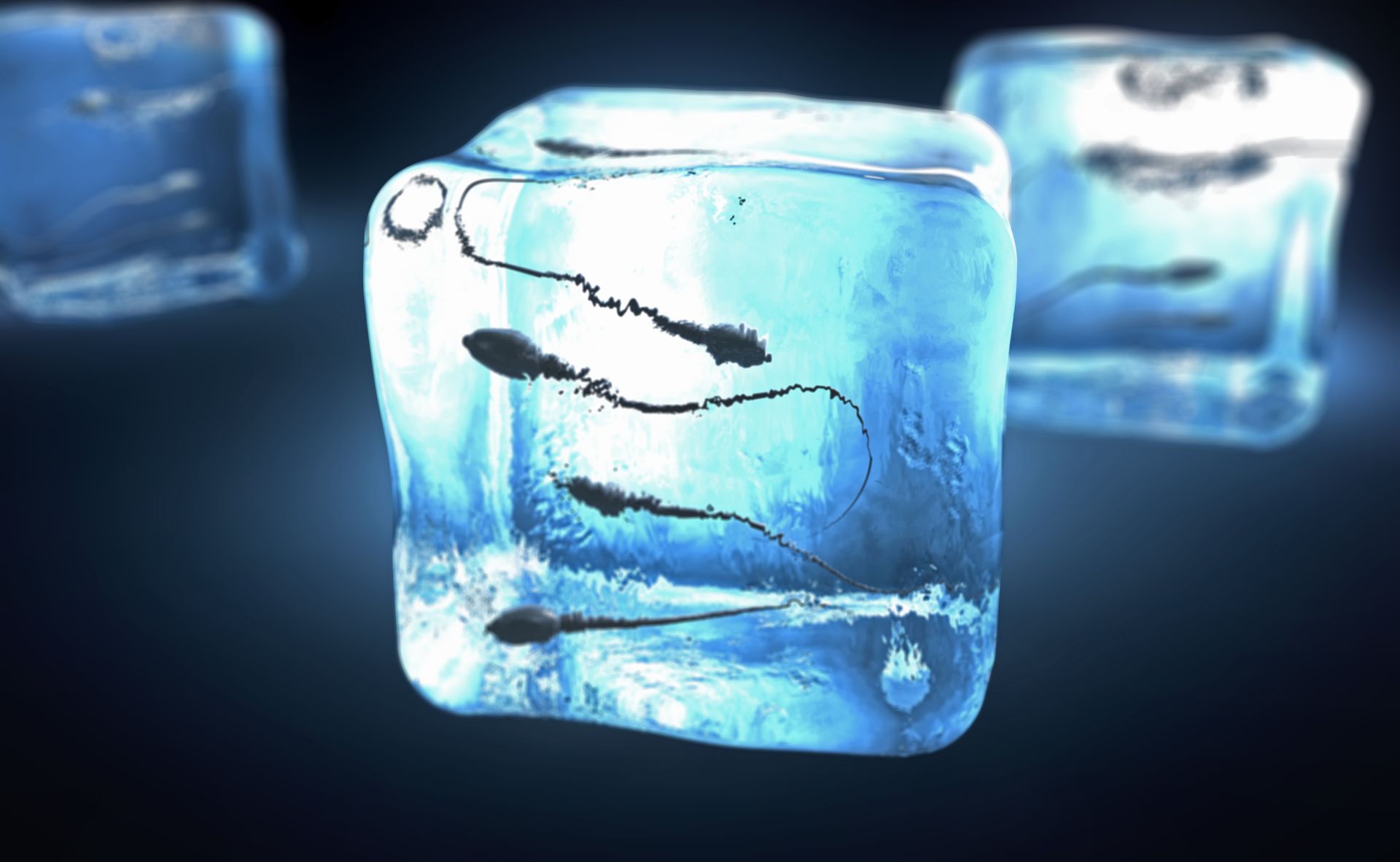 Cryopreservation & Dog Frozen Semen